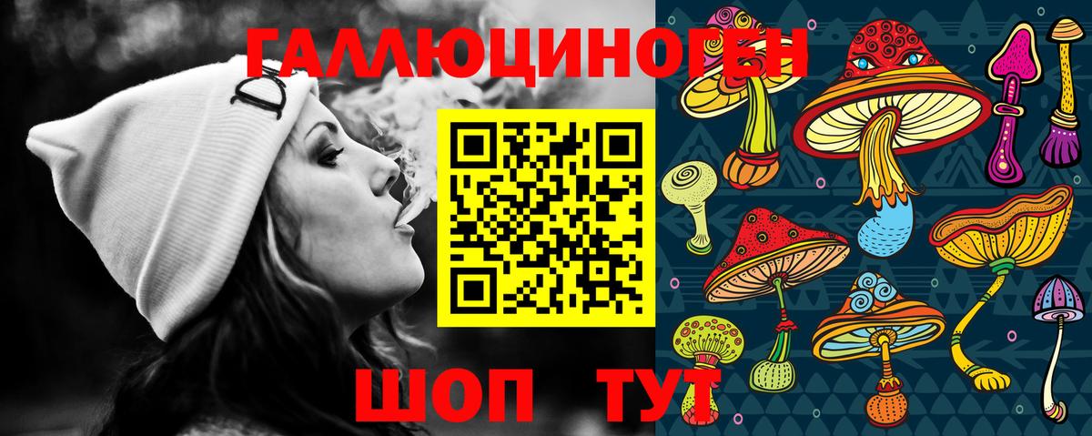 Псилоцибиновые грибы Psilocybine cubensis Ржев
