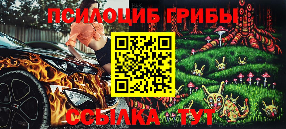 Псилоцибиновые грибы мицелий  Вход с VPN  Ржев 
